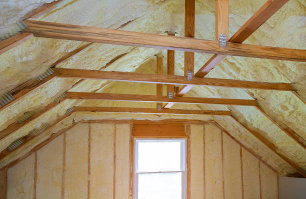 Best Residential Insulation in Pequot Lakes, MN