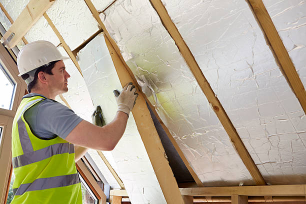 Best Insulation Installation Services in Pequot Lakes, MN